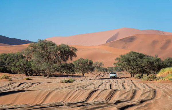 4x4 car rental and camping with Gecko Car Rental